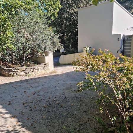 Nouveaute Studio Sur Les Hauteurs. Robion en Luberon ภายนอก รูปภาพ